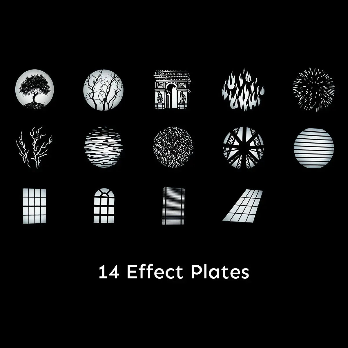 Harlowe Optical Light Lens with Gobo for Bowens Mount (for Pro)