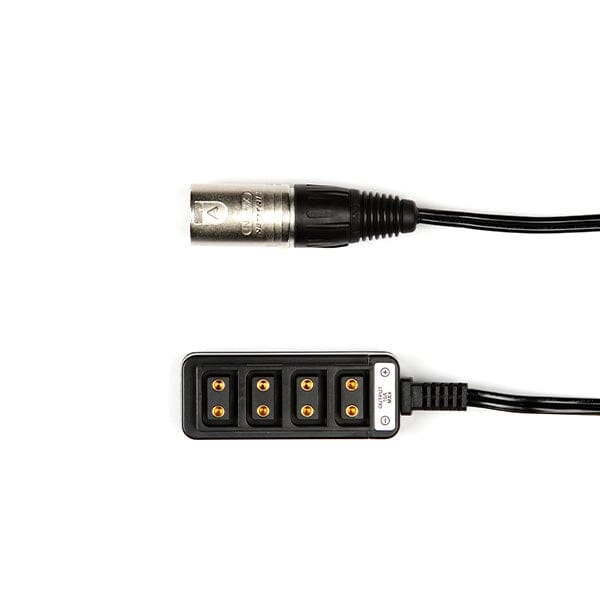 Indipro 4-Pin Male XLR to 4 way D-Tap Splitter (22")