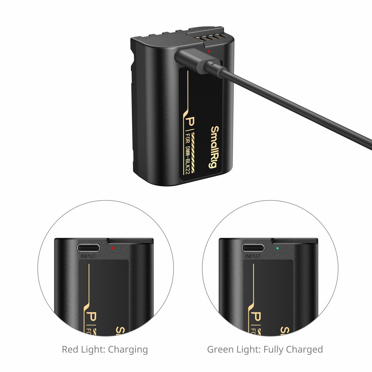 SmallRig Camera Battery with USB-C Charging for Panasonic LUMIX DMW-BLK22 6098