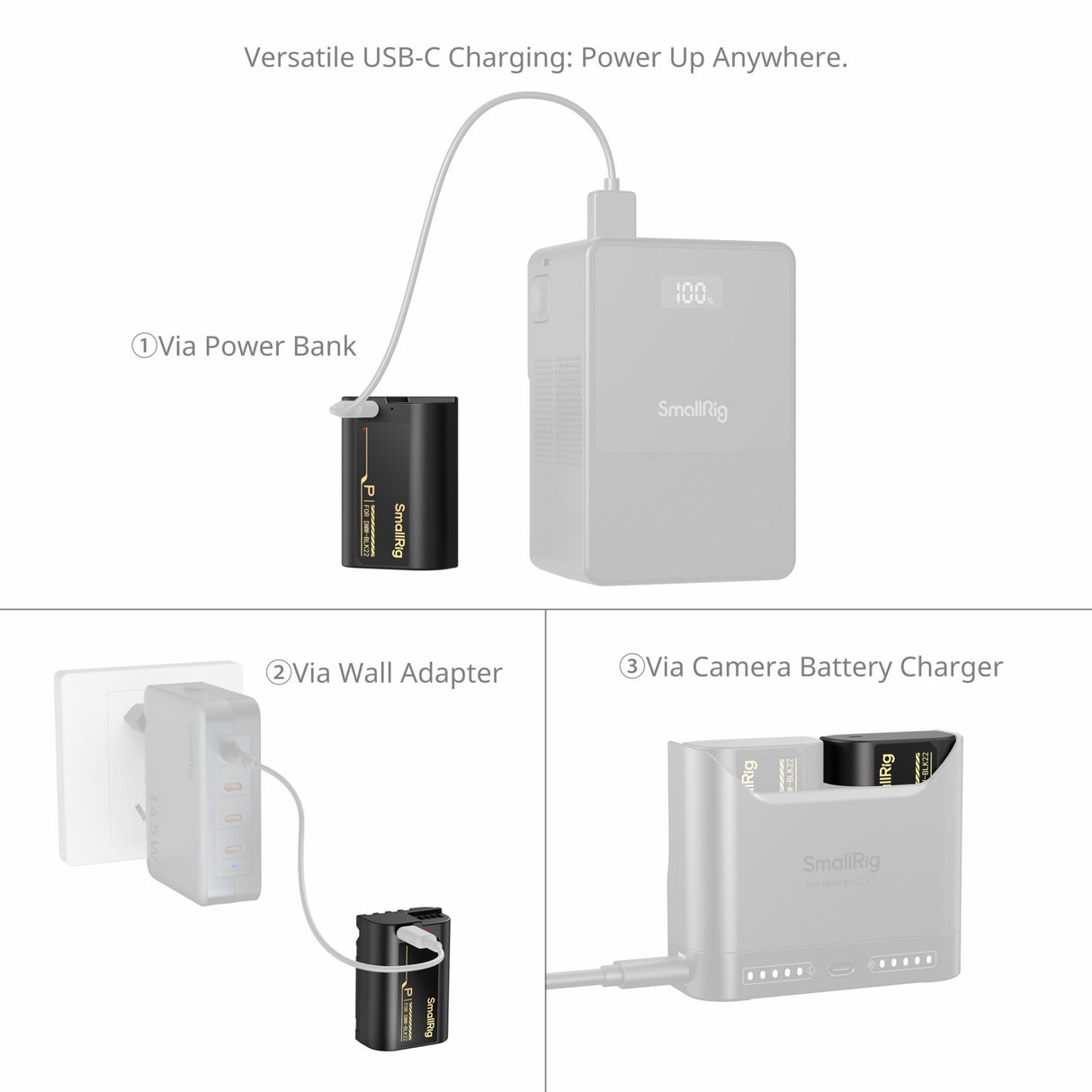 SmallRig Camera Battery with USB-C Charging for Panasonic LUMIX DMW-BLK22 6098