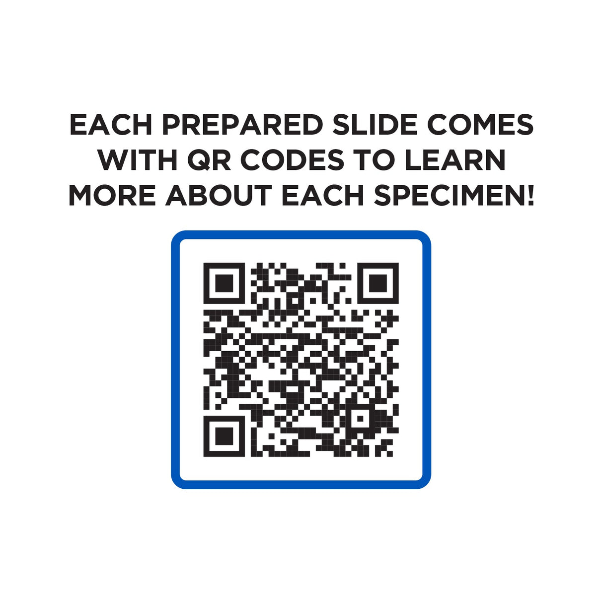 Explore One 52 Piece Smart Slides Activity Set