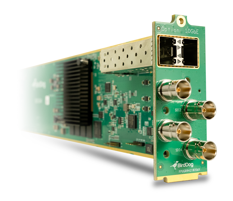 BirdDog OG4 channel 4Kp60 NDI encoder/decoder openGear card with SFP+