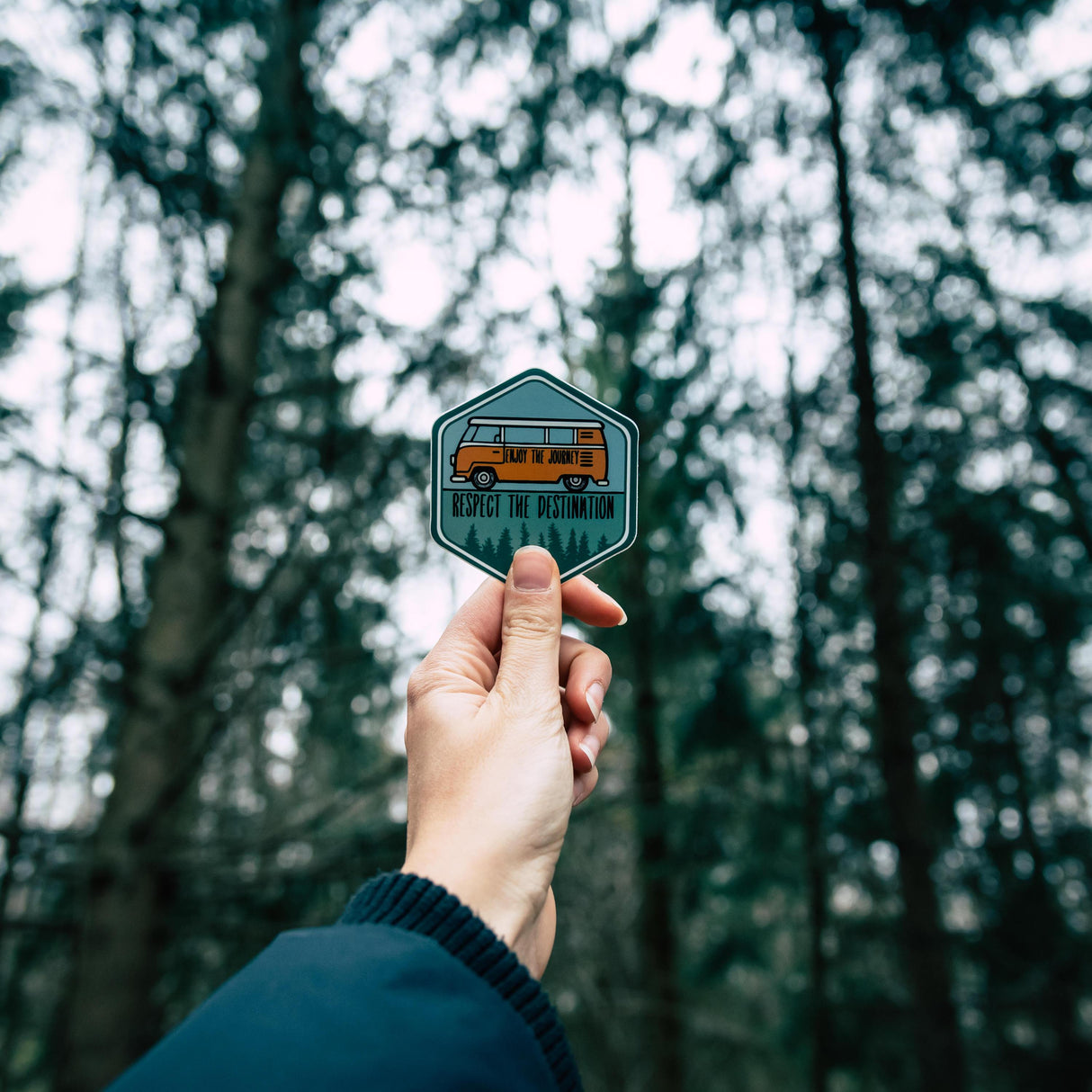 Bus Destination Sticker (Forest)