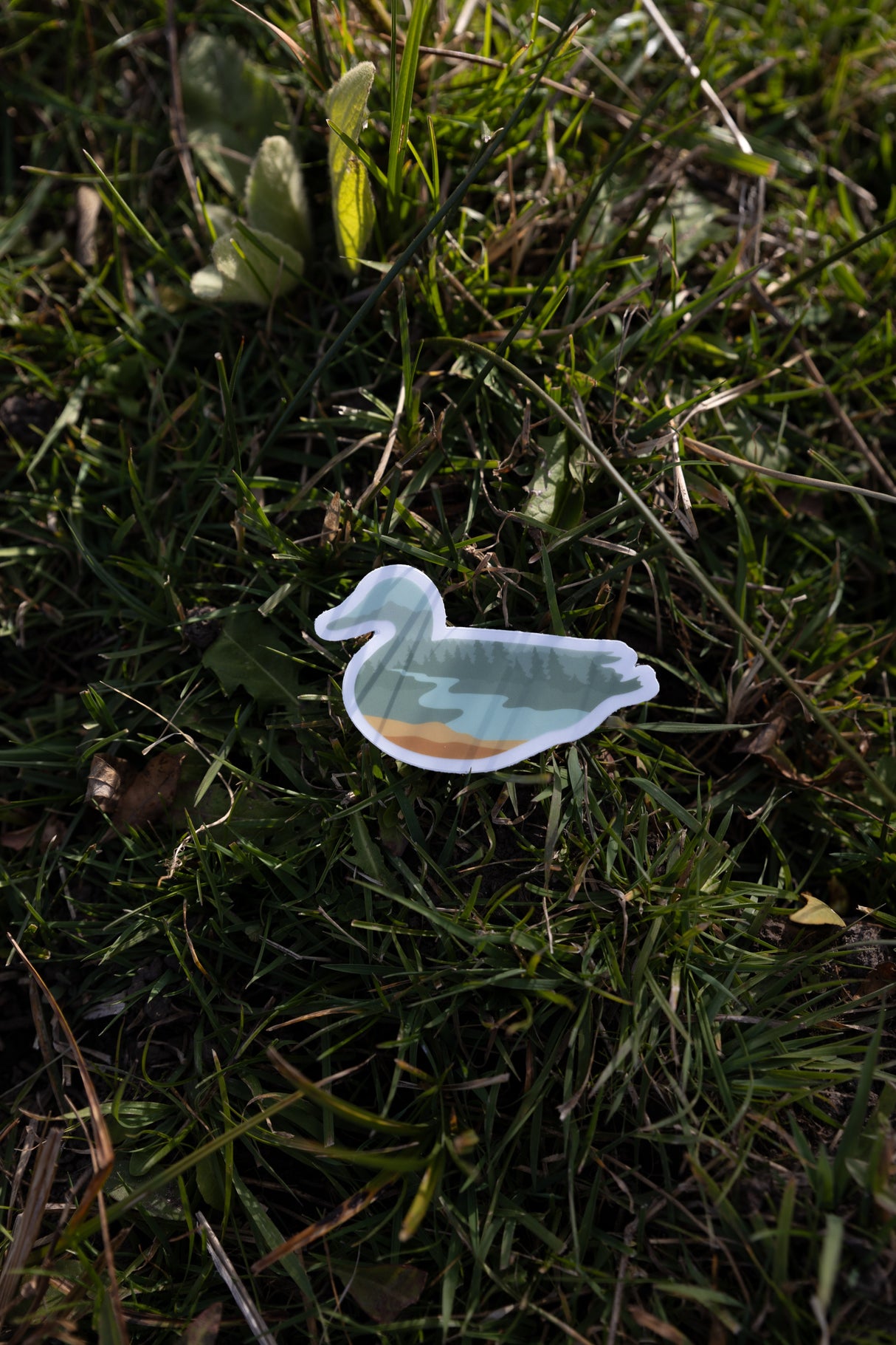 Duck Landscape Sticker