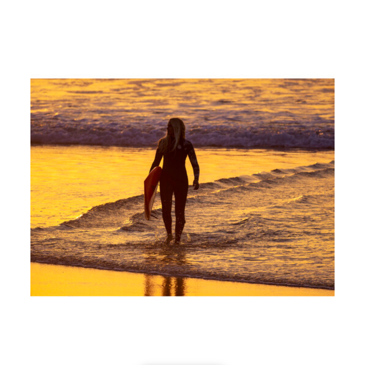 Canon RF 1200mm f/8 L IS USM Lens