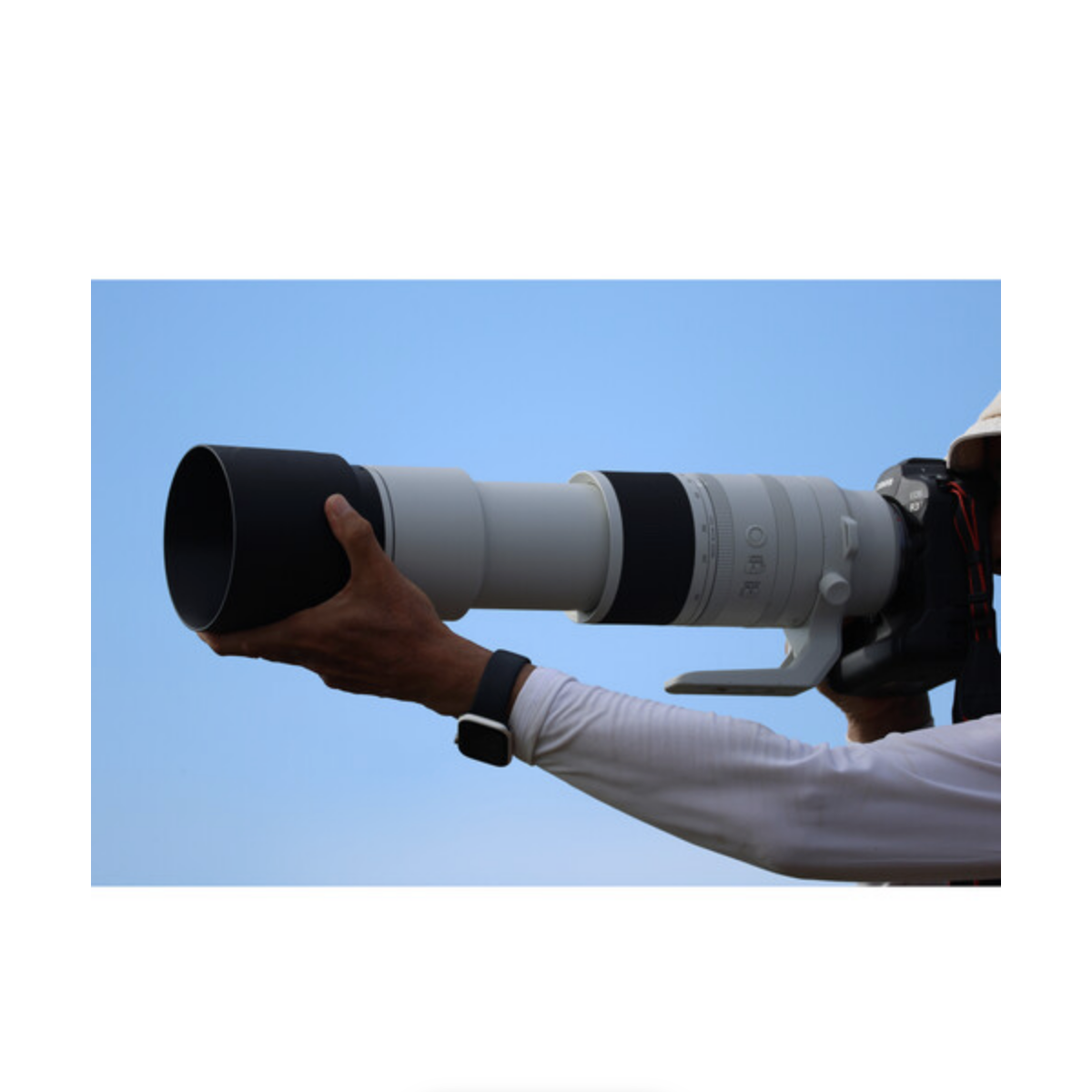 Canon RF 200-800mm f/6.3-9 IS USM Lens