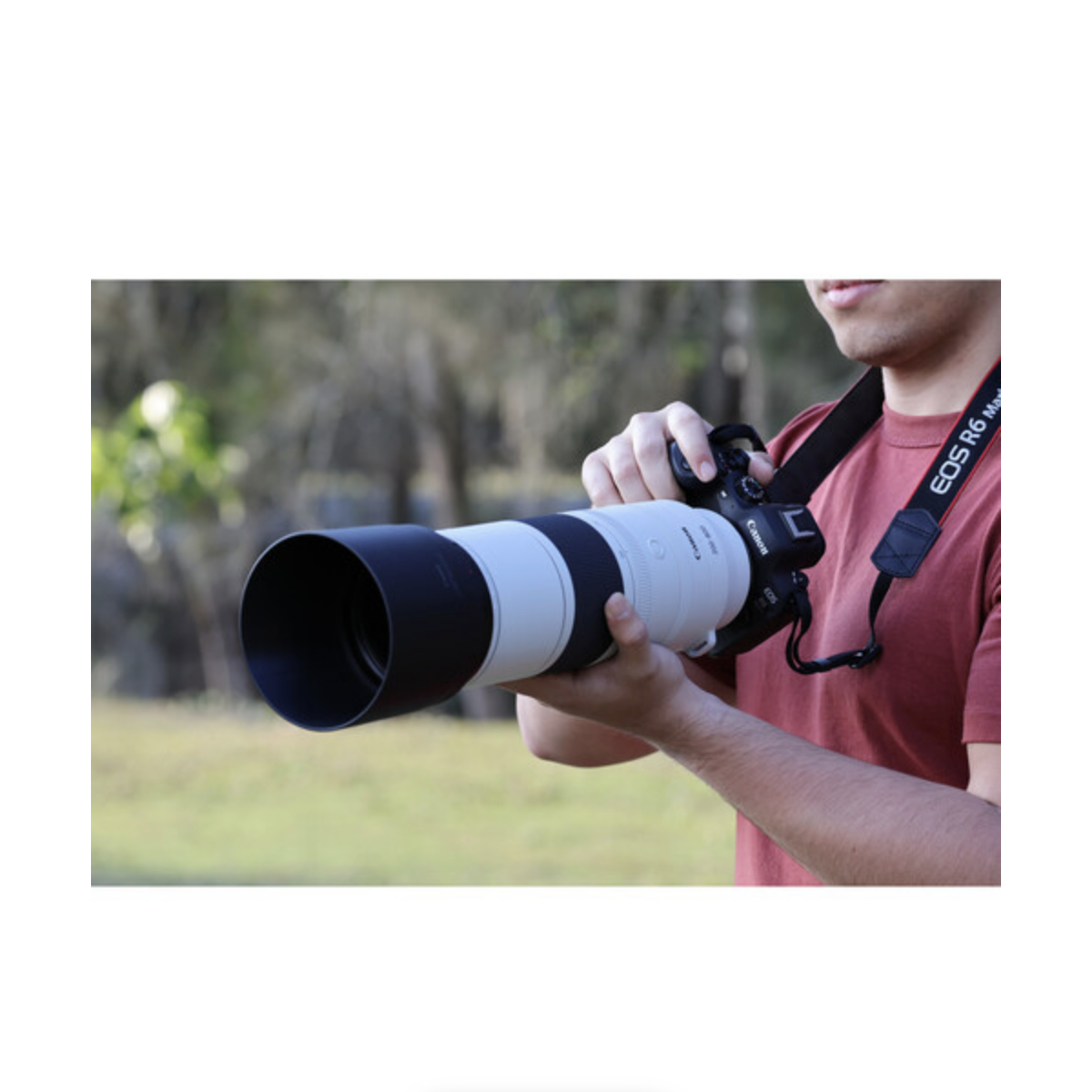Canon RF 200-800mm f/6.3-9 IS USM Lens