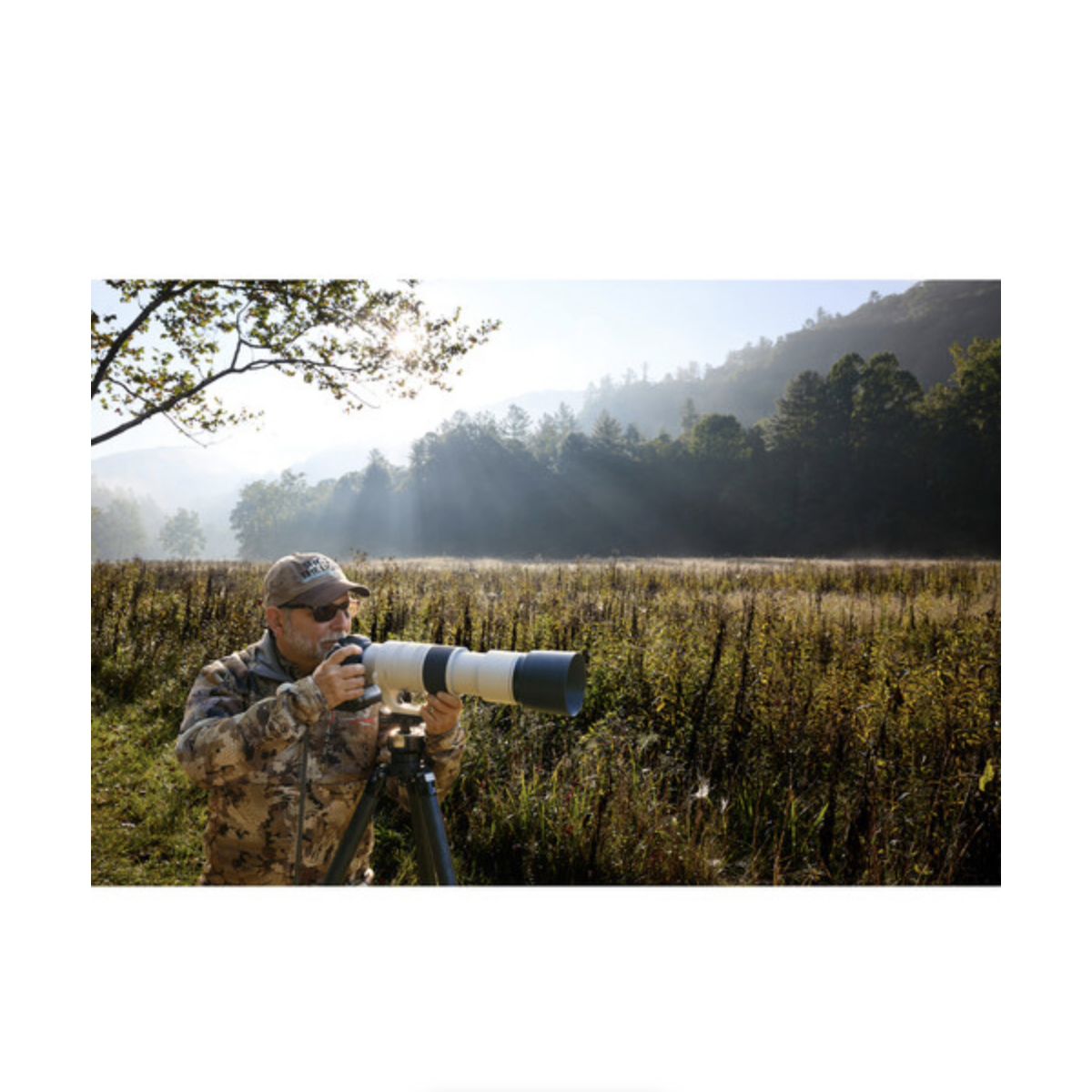 Canon RF 200-800mm f/6.3-9 IS USM Lens