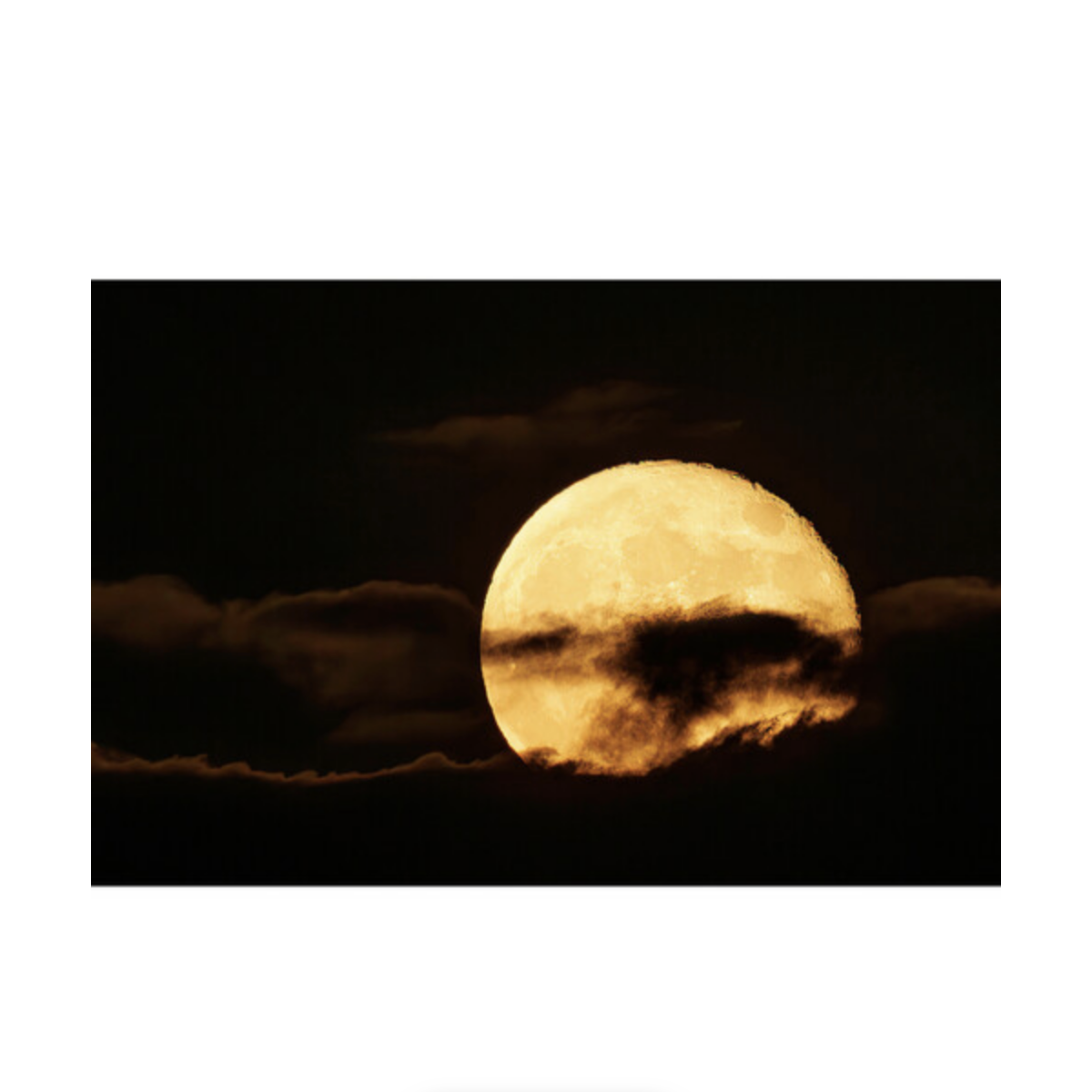 Canon RF 200-800mm f/6.3-9 IS USM Lens