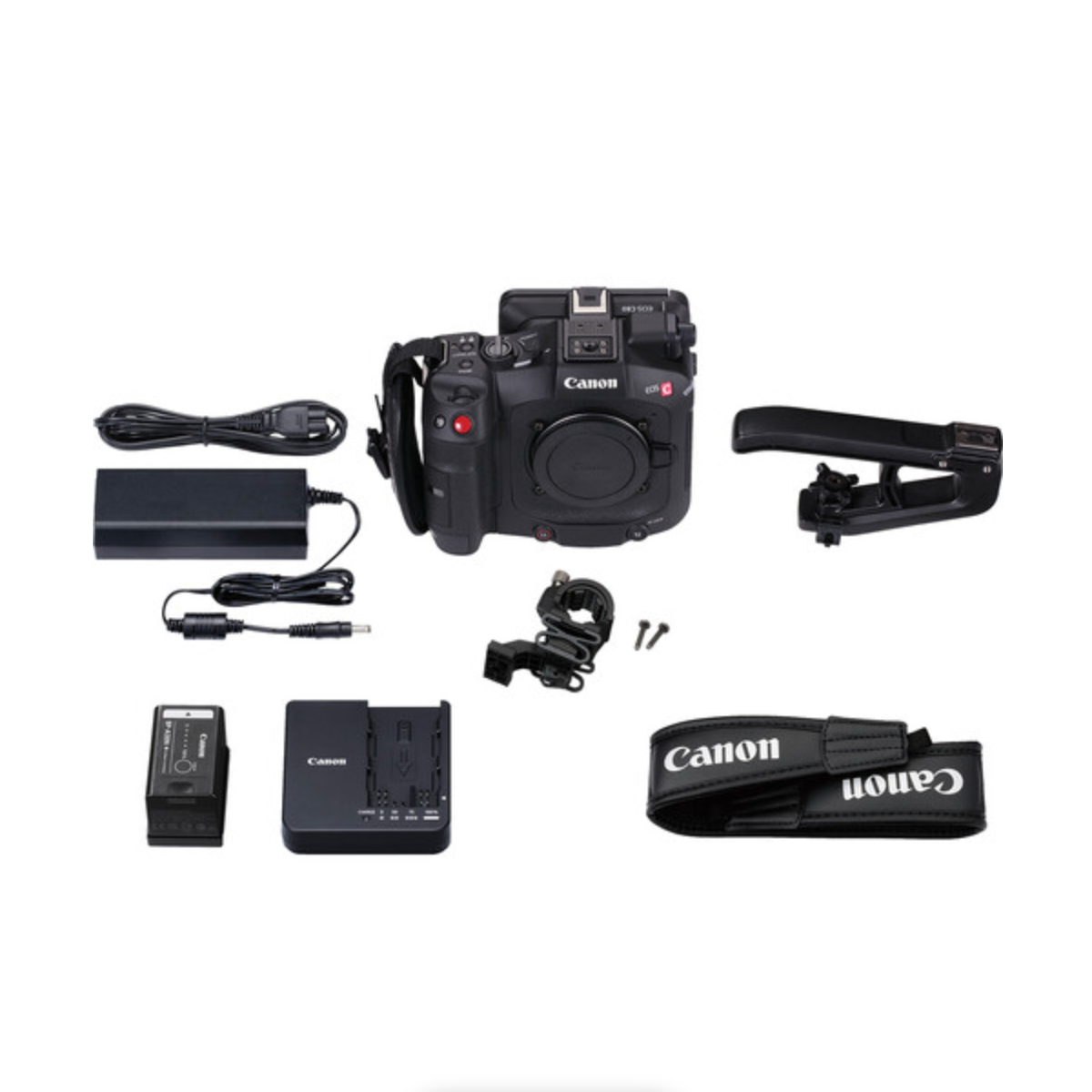 Canon EOS C80 6K Full-Frame Cinema Camera (Canon RF)