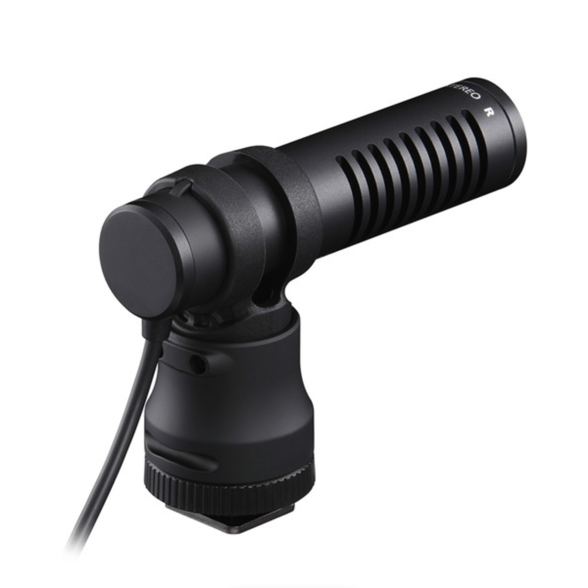 Canon EOS R10 Mirrorless Camera Kit with RF-S 10-18mm f/4.5-6.3 IS STM Lens + Canon DM-E100 Directional Microphone