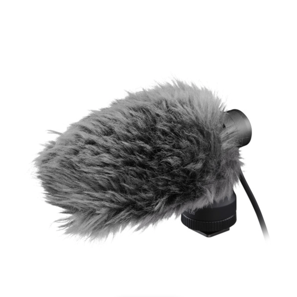 Canon EOS R10 Mirrorless Camera Kit with RF-S 10-18mm f/4.5-6.3 IS STM Lens + Canon DM-E100 Directional Microphone