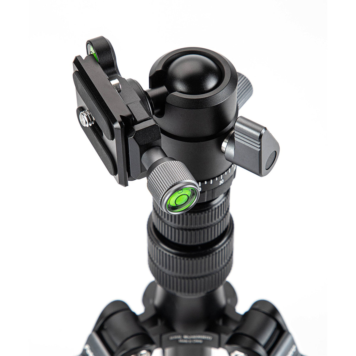 X-Go Gecko E 2