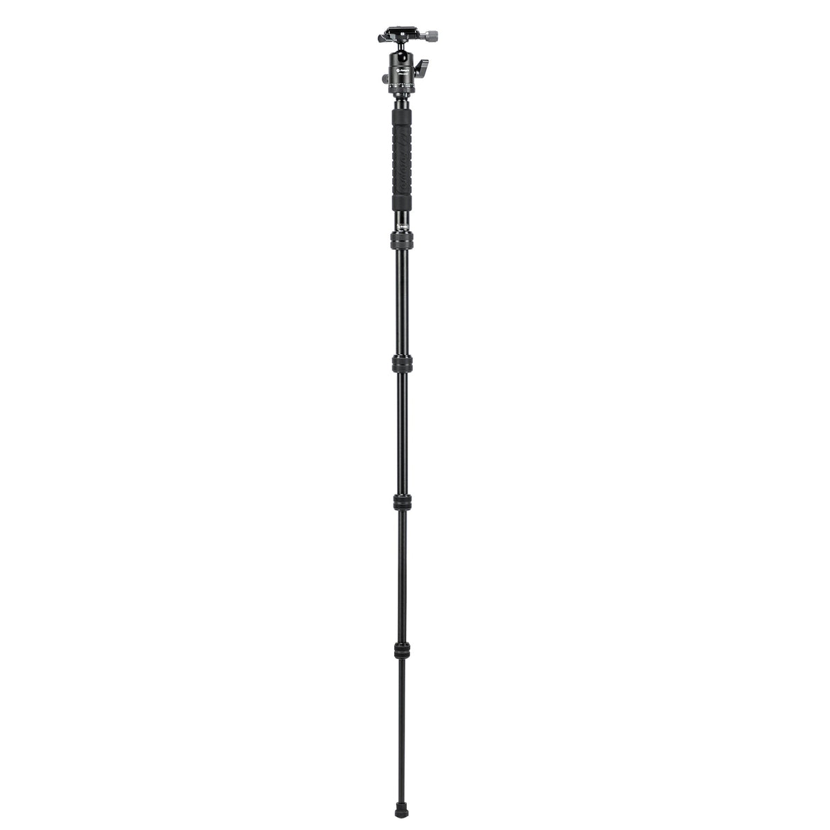 X-Go Gecko E 2