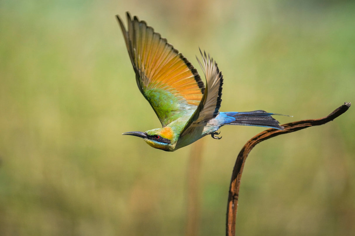 Nikon Z 8 FX-format Mirrorless Camera, with 24-120mm Lens Kit