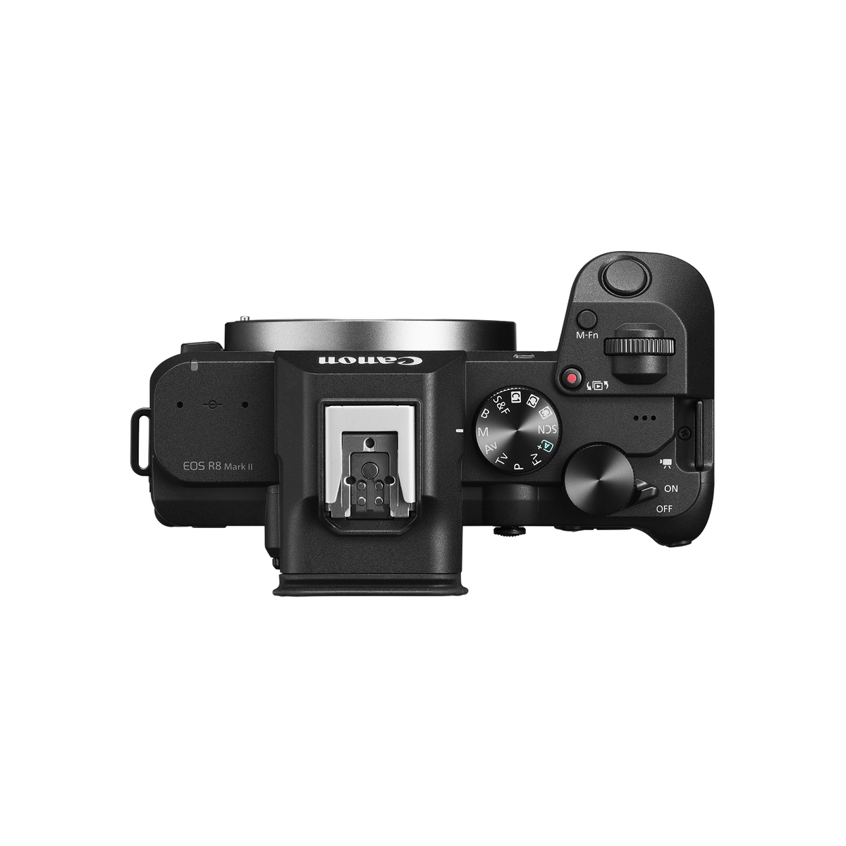 Canon EOS R8 Mark II — top plate