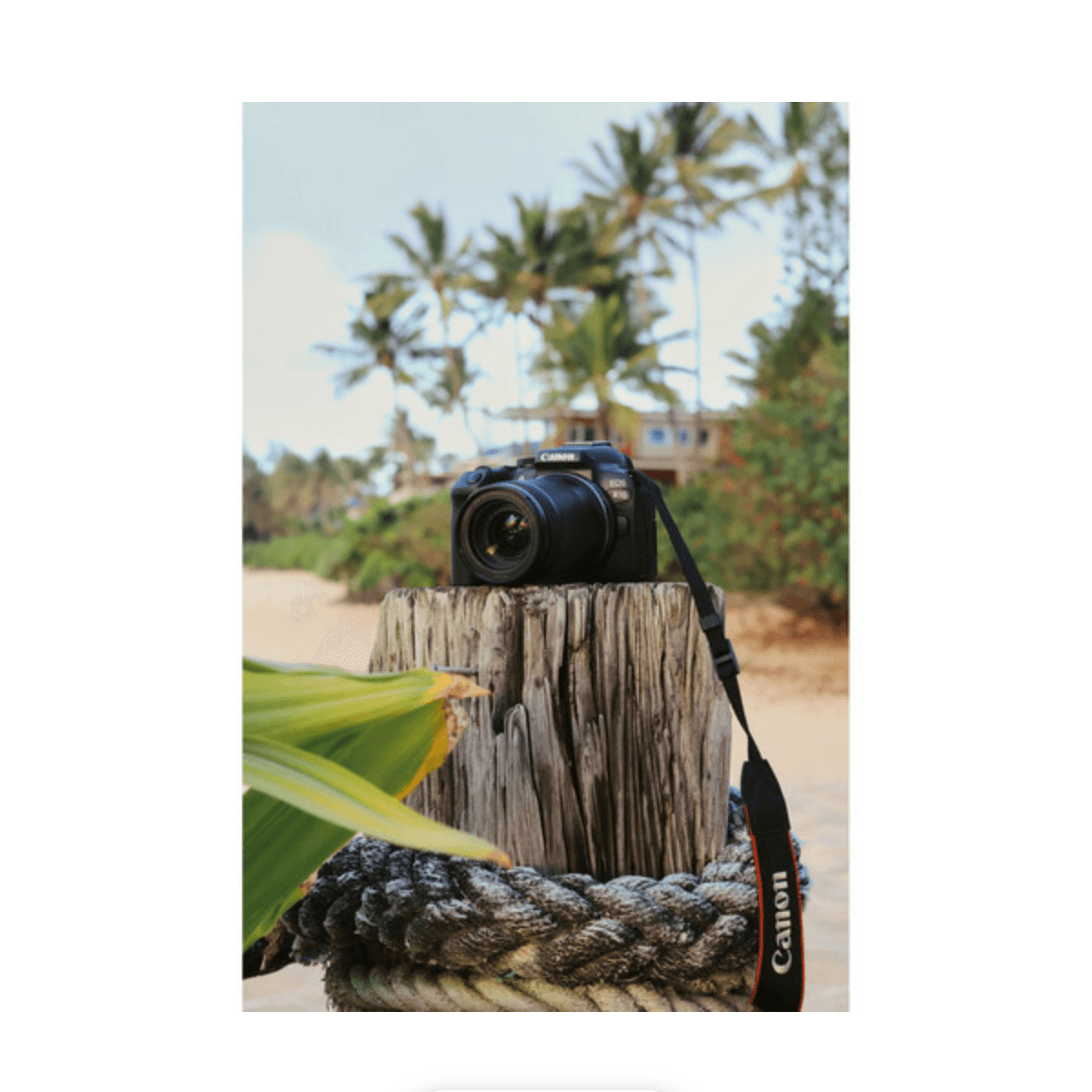 Canon EOS R10 Mirrorless Digital Camera (Body Only)