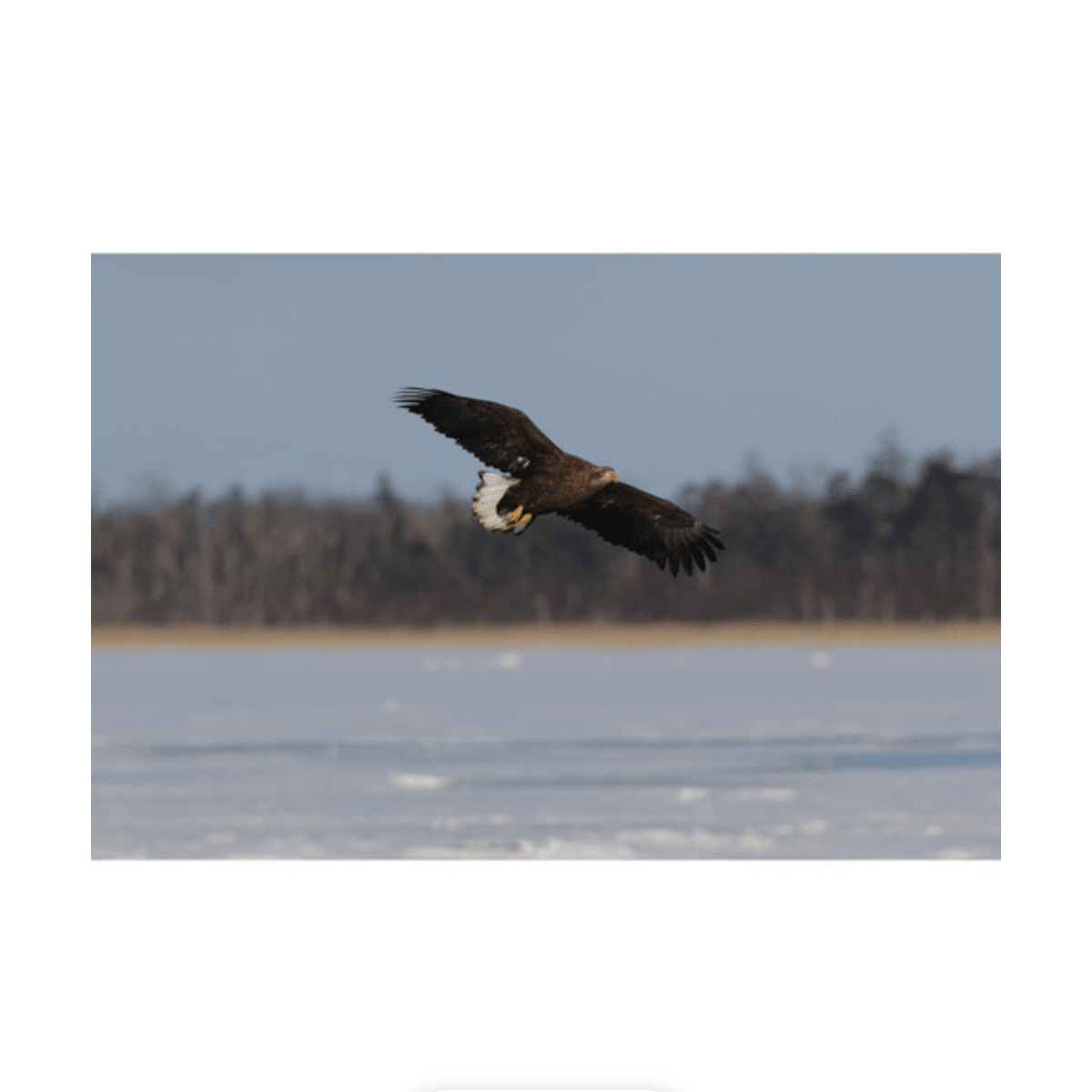 Canon EOS R7 Mirrorless Digital Camera (Body Only)