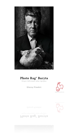 Hahnemuhle Photo Rag Baryta 315 gsm 24"x39' Roll