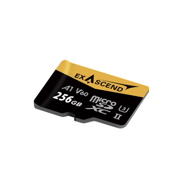 Exascend CATALYST microSDXC UHS-II V60 Memory Card (256GB)