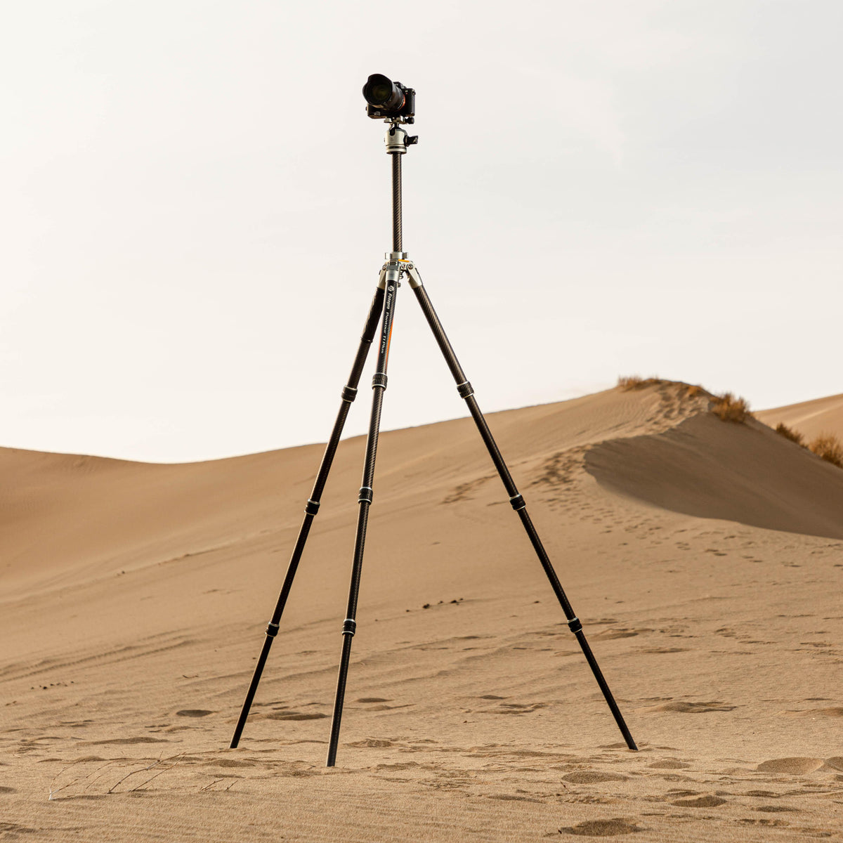 T1 Plus + T-Bar