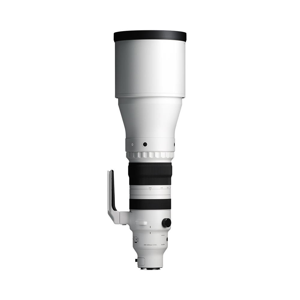 Sigma 300-600mm f/4 DG OS Sports Lens