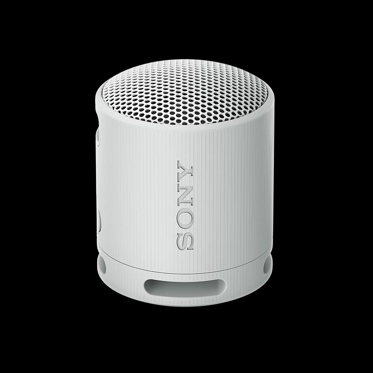 Sony SRS-XB100 Compact Bluetooth Speaker in Gray