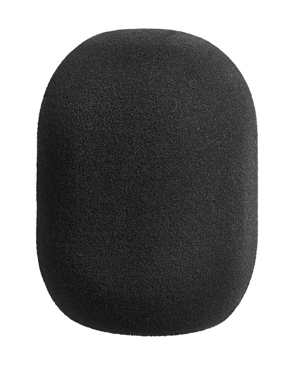 WS 87