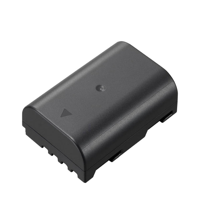 Panasonic Rechargeable Lithium-Ion Battery - DMW-BLF19 - Image 1