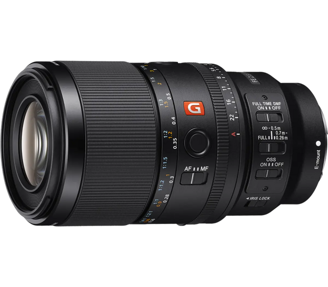 Sony 1.4x max. magnification in Sony's Versatile FE 100mm F2.8 Macro GM OSS - Image 1