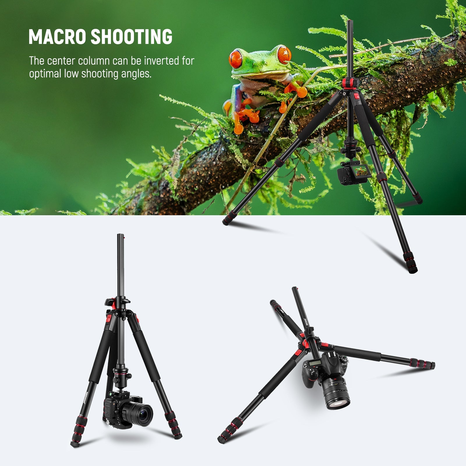 NEEWER N284L+G0 Camera Tripod Monopod – IMPULSE