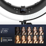 NEEWER RP18H 19 Inch LED Ring Light With 3 Phone Holders