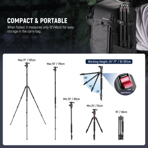 Descriptive image text