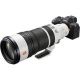 Sony FE 100-400mm f/4.5 GM OSS Lens