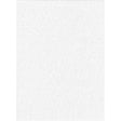 ProMaster Solid Backdrop 10'x12' - White - Image 1