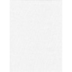 ProMaster Solid Backdrop 10'x12' - White - Image 1