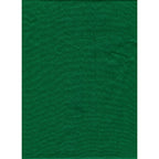 ProMaster Solid Backdrop 10'x20' - Chroma Green  - Image 1