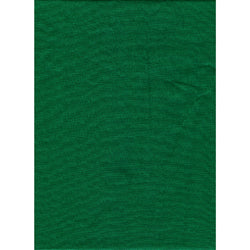 ProMaster Solid Backdrop 10'x20' - Chroma Green