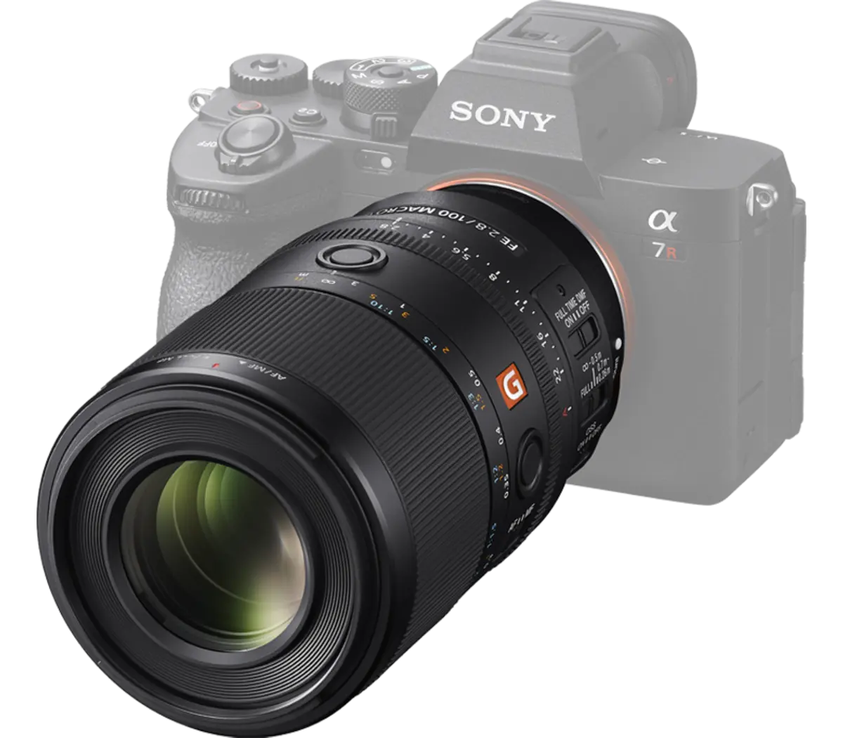 Sony 1.4x max. magnification in Sony's Versatile FE 100mm F2.8 Macro GM OSS - Image 2