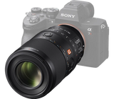 Sony 1.4x max. magnification in Sony's Versatile FE 100mm F2.8 Macro GM OSS - Image 2