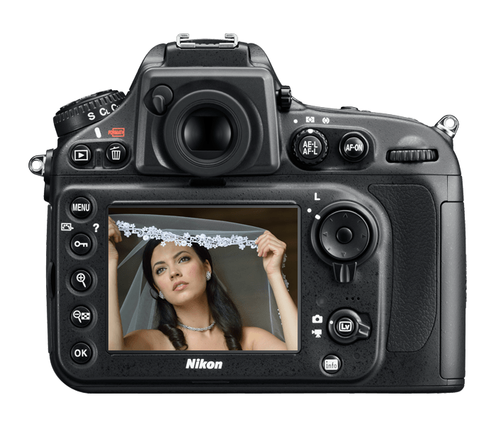 Nikon D800 DSLR Camera — back view