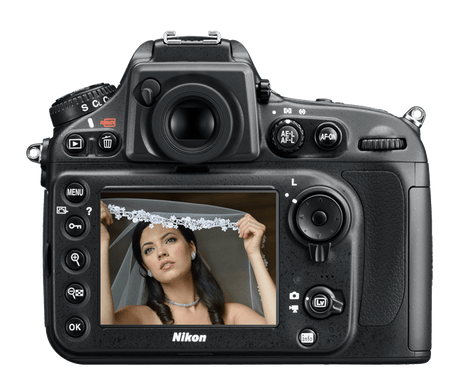 Nikon D800 DSLR Camera — back view