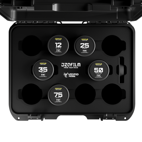 Vespid Prime T2.1 FF/VV
