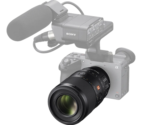 Sony 1.4x max. magnification in Sony's Versatile FE 100mm F2.8 Macro GM OSS - Image 3