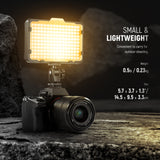 NEEWER Dimmable 176 LED Video Light