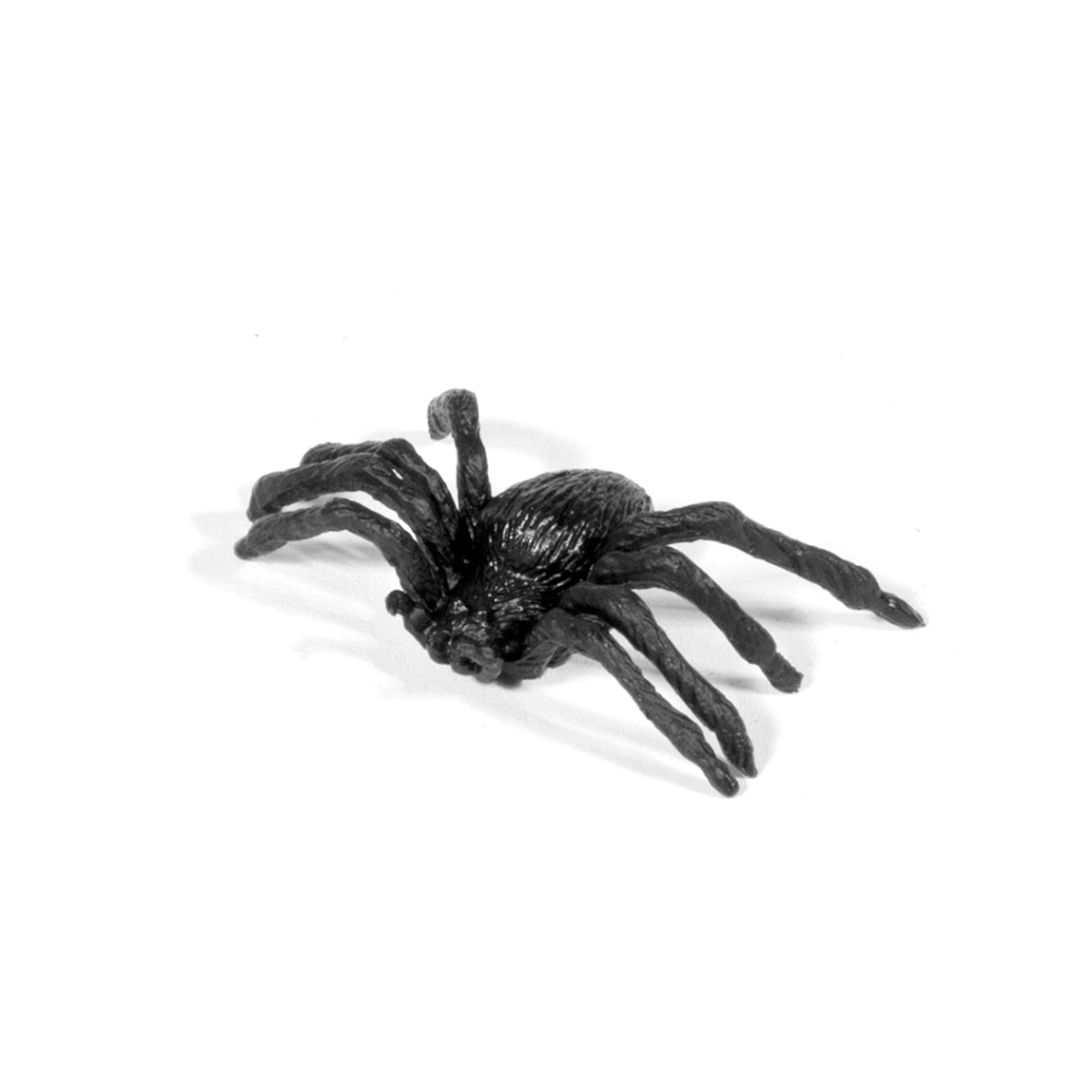 Explore One 2x/4x Magnifier Habitat Jar Bug Catcher