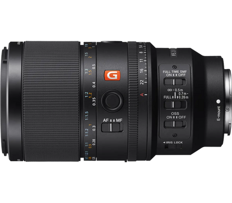 Sony 1.4x max. magnification in Sony's Versatile FE 100mm F2.8 Macro GM OSS - Image 4
