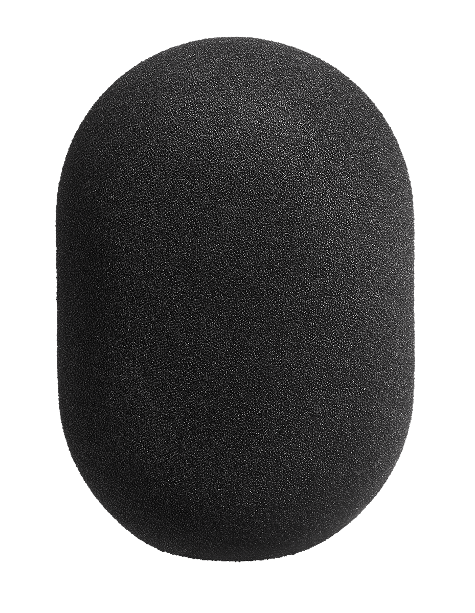 WS 89