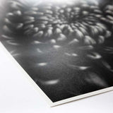 ProMaster Fine Art Baryta Natural Satin Paper 24"x50' Roll - Image 3