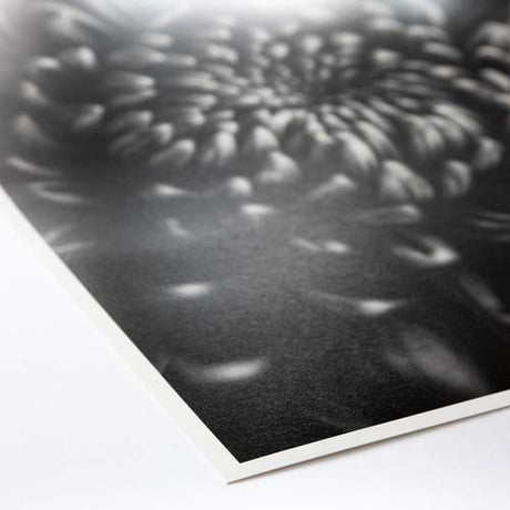 ProMaster Fine Art Baryta Natural Satin Paper 36"x50' Roll - Image 3